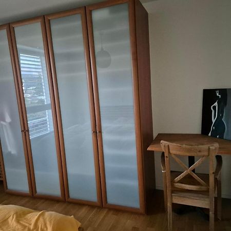 Zimmer In Penthouse-Wohnung Windisch 部屋 写真