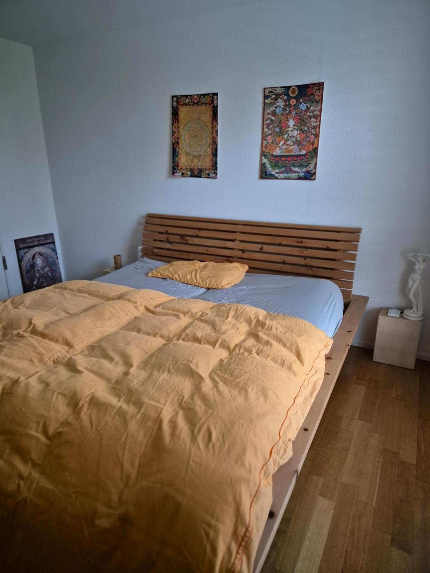 Zimmer In Penthouse-Wohnung Windisch 部屋 写真