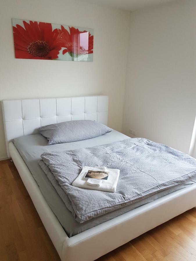 Zimmer In Penthouse-Wohnung Windisch エクステリア 写真