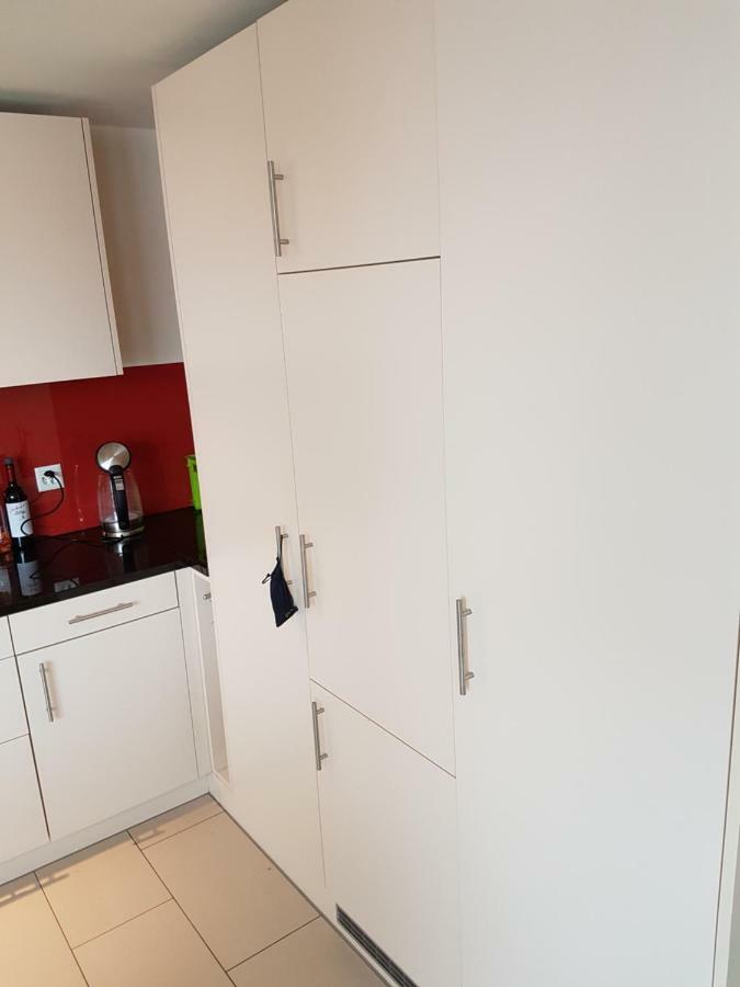Zimmer In Penthouse-Wohnung Windisch エクステリア 写真
