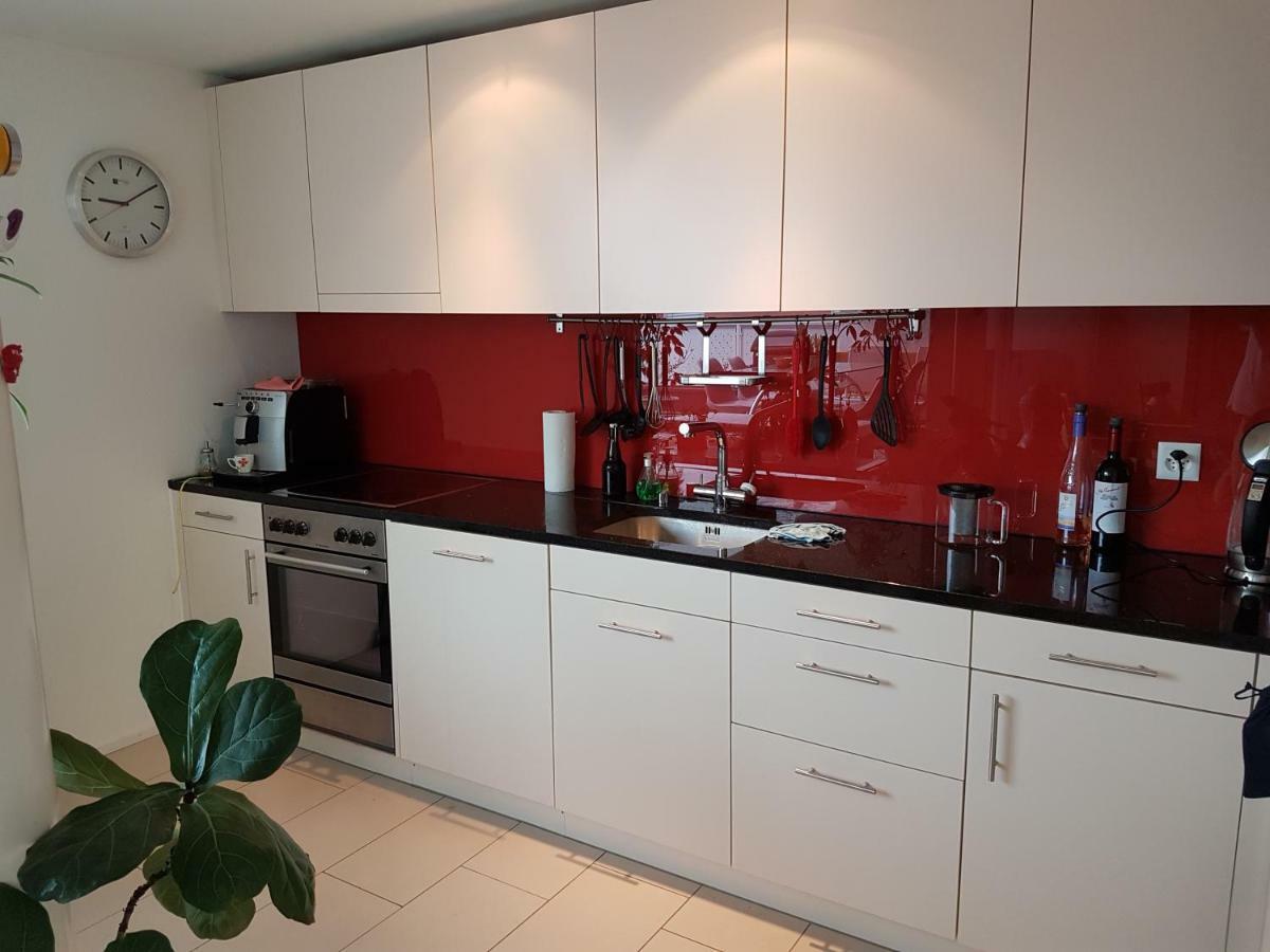 Zimmer In Penthouse-Wohnung Windisch エクステリア 写真