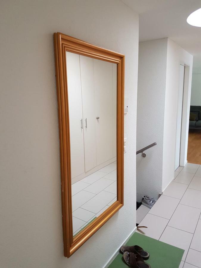 Zimmer In Penthouse-Wohnung Windisch エクステリア 写真