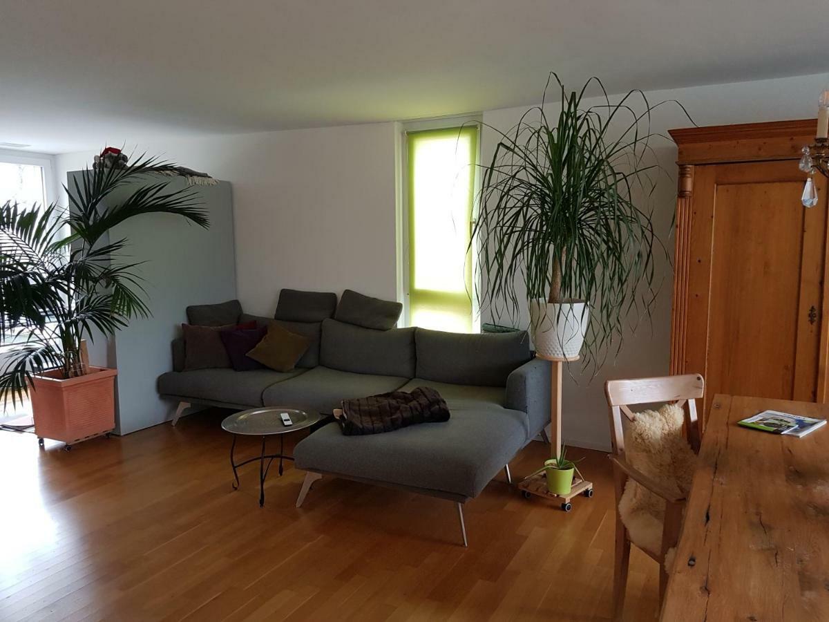 Zimmer In Penthouse-Wohnung Windisch エクステリア 写真