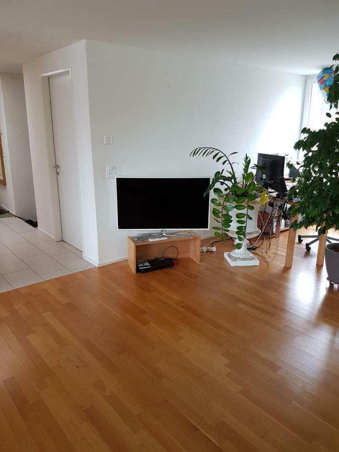 Zimmer In Penthouse-Wohnung Windisch エクステリア 写真