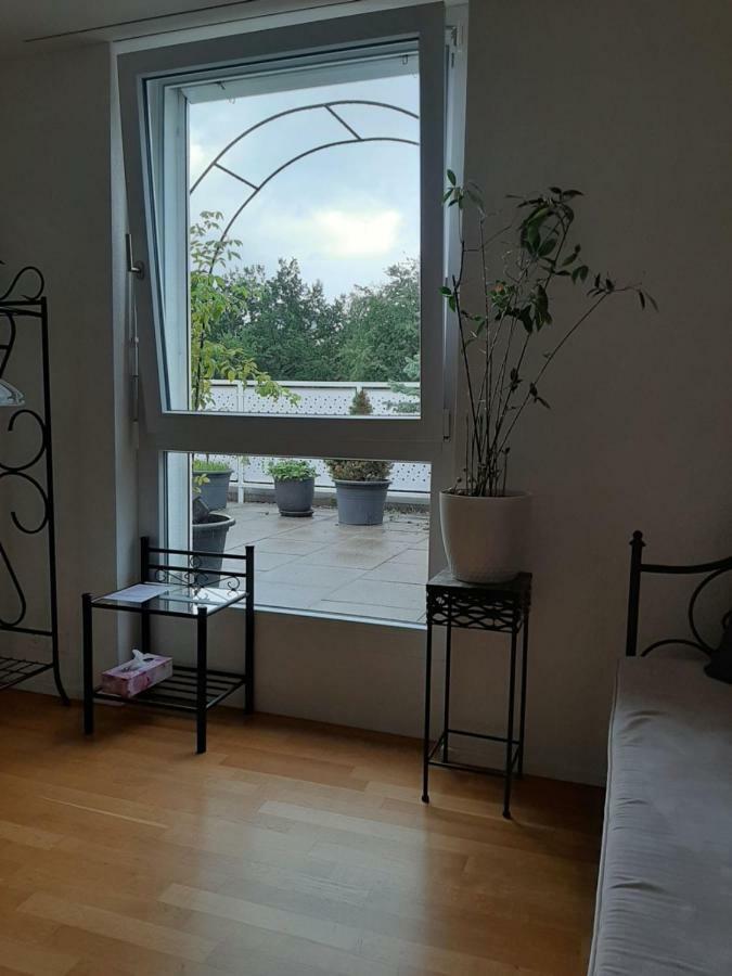 Zimmer In Penthouse-Wohnung Windisch エクステリア 写真